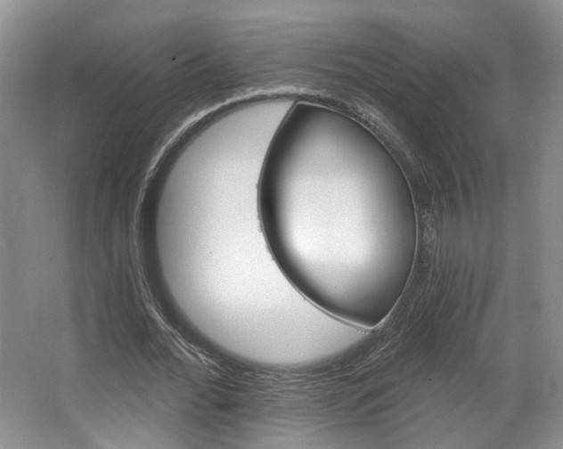 X0000067510676200604071049