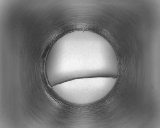 X0000067510683200604071049