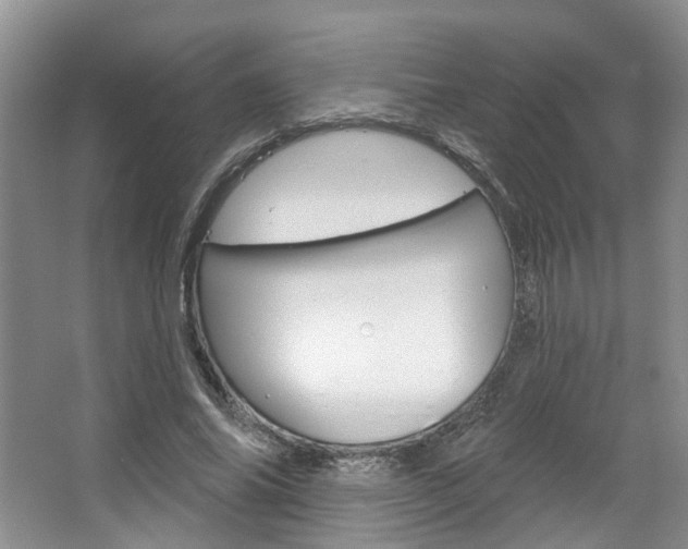 X0000067510686200604071049