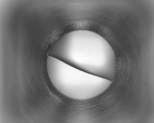X0000067510695200604071049