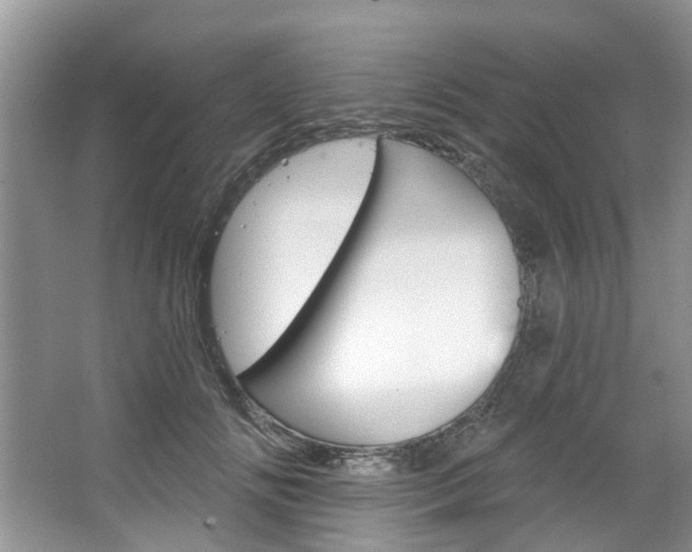 X0000067510702200604071049