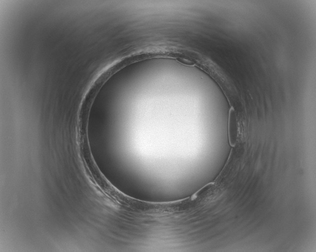 X0000067510724200604071048