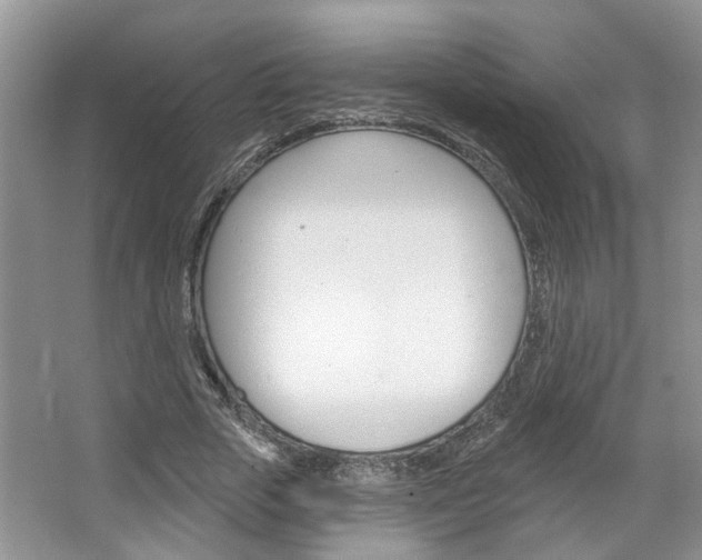 X0000067510729200604071048
