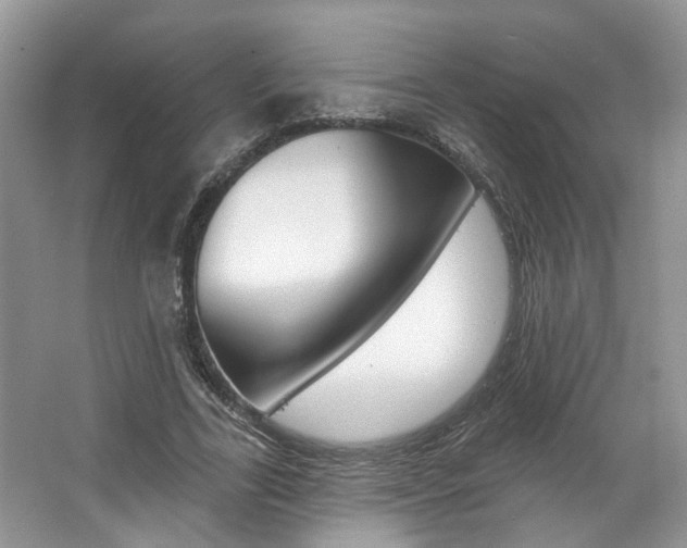 X0000067510731200604071048