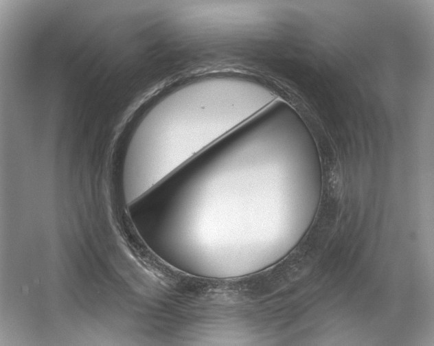 X0000067510732200604071048