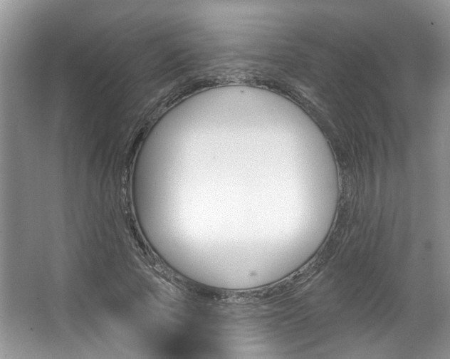 X0000067510737200604071048