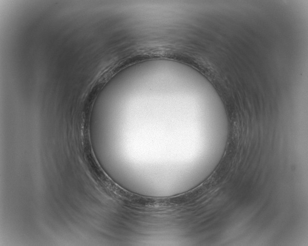 X0000067510739200604071048