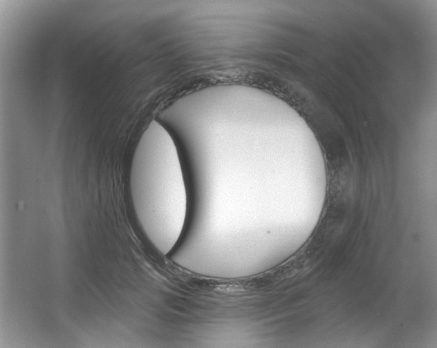 X0000067510749200604071048