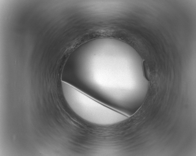 X0000067510752200604071048