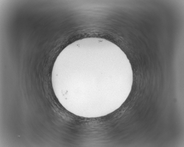 X0000067510769200604071048