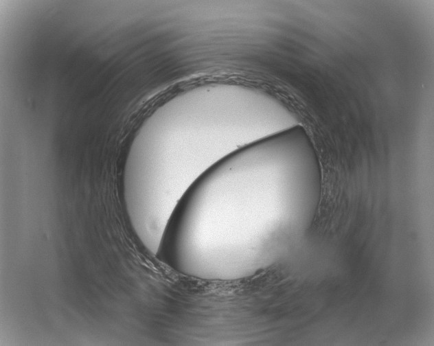 X0000067510773200604071048