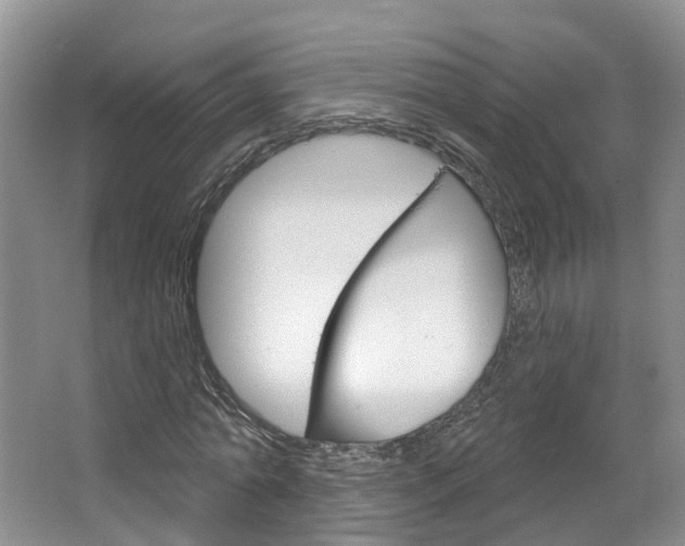 X0000067510774200604071048