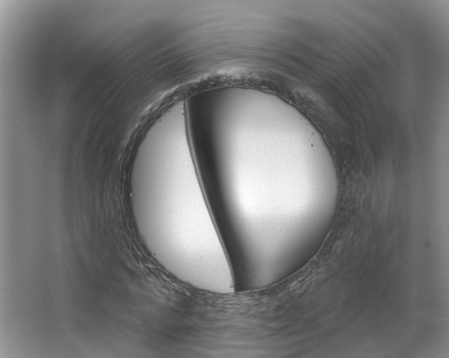 X0000067510776200604071048