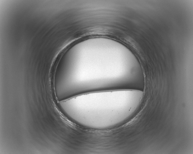 X0000067510779200604071048