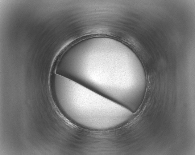 X0000067510780200604071048