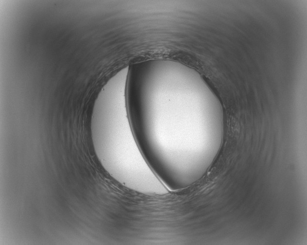 X0000067510818200604071046