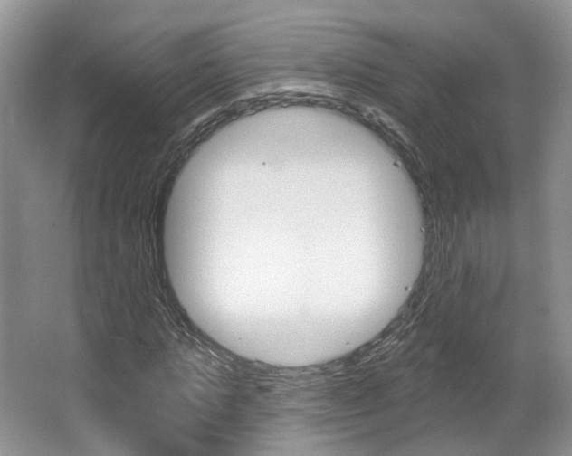 X0000067510821200604071046