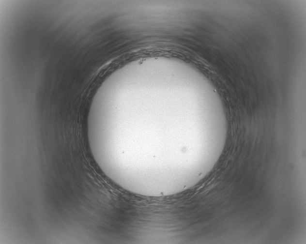 X0000067510822200604071046
