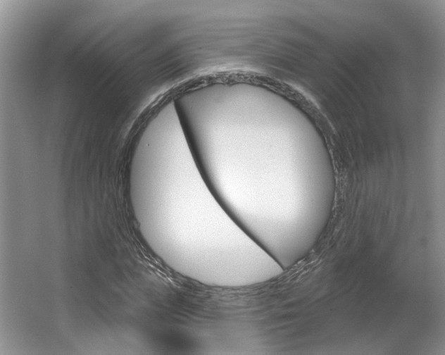 X0000067510823200604071046