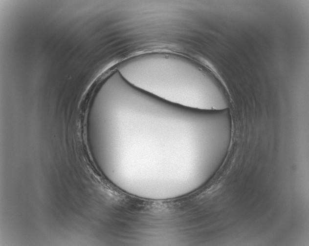 X0000067510827200604071046