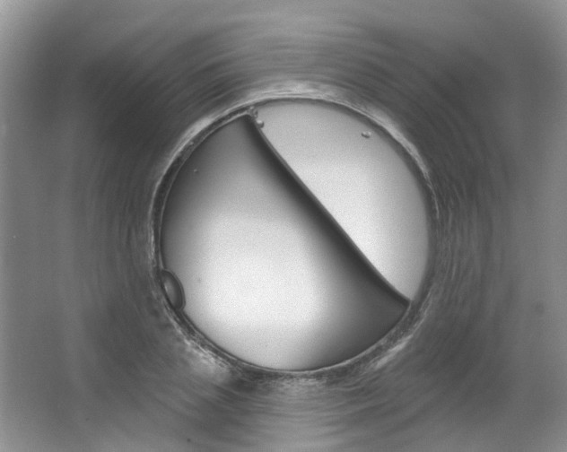 X0000067510837200604071047