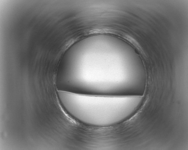 X0000067510849200604071047