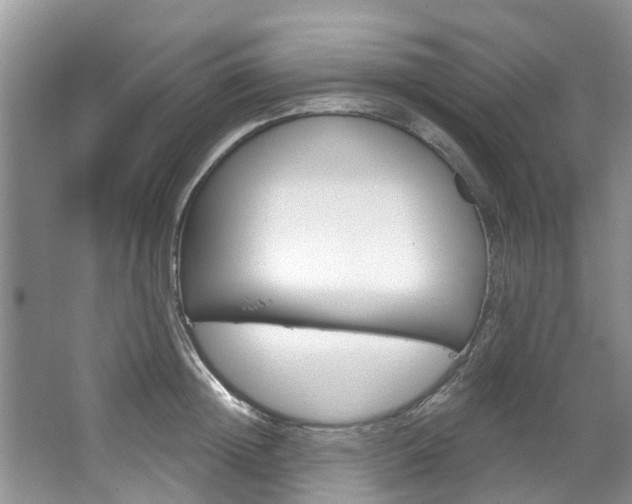X0000067510852200604071047
