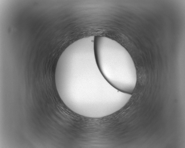 X0000067510866200604071046