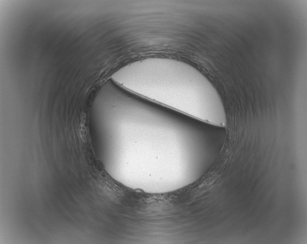 X0000067510867200604071046