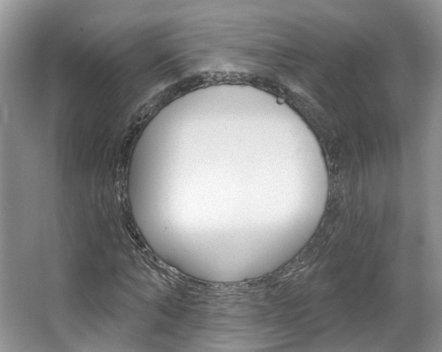 X0000067510870200604071046