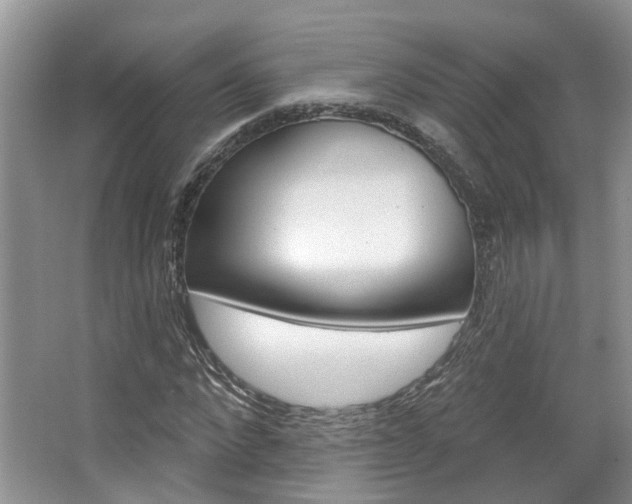 X0000067510872200604071046