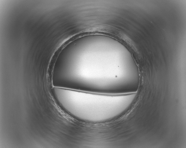 X0000067510876200604071046