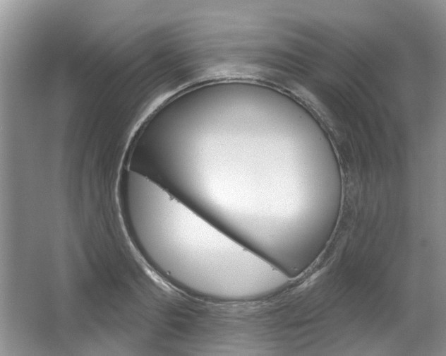 X0000067510893200604071046