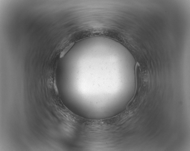 X0000067510916200604071045