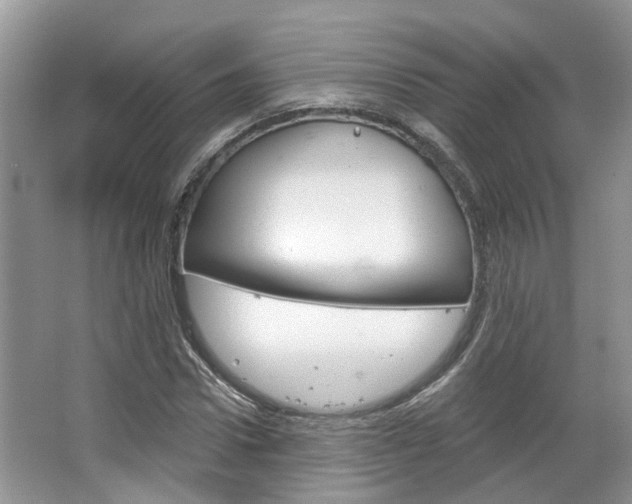 X0000067510922200604071045