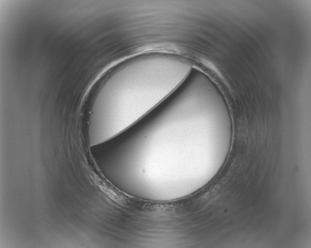 X0000067510923200604071045