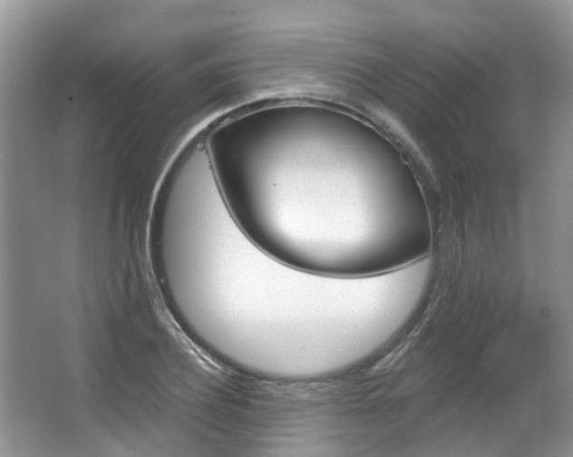 X0000067510932200604071045