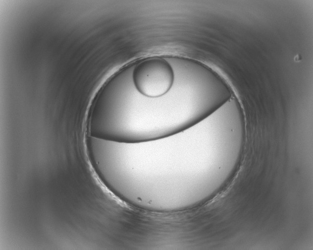 X0000067510949200604071045