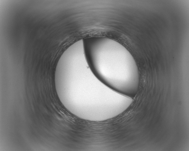 X0000067510964200604071045