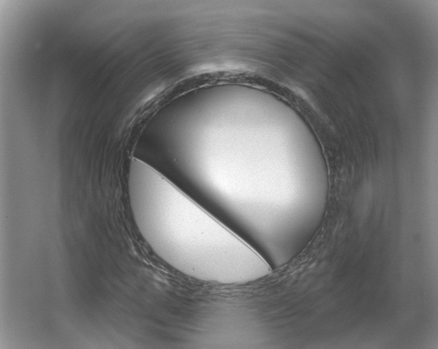 X0000067510967200604071044