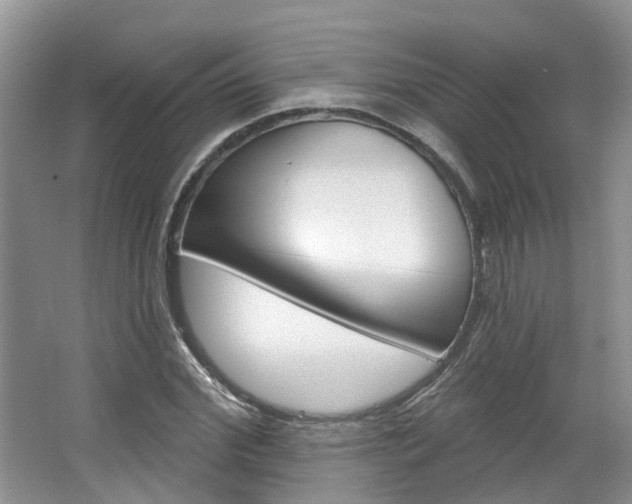 X0000067510972200604071044