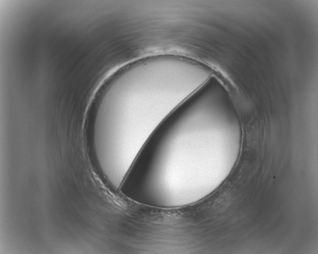 X0000067510975200604071044