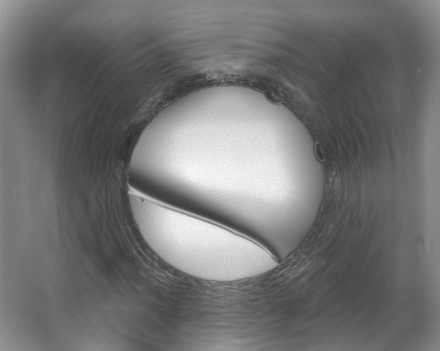 X0000067511012200604071043