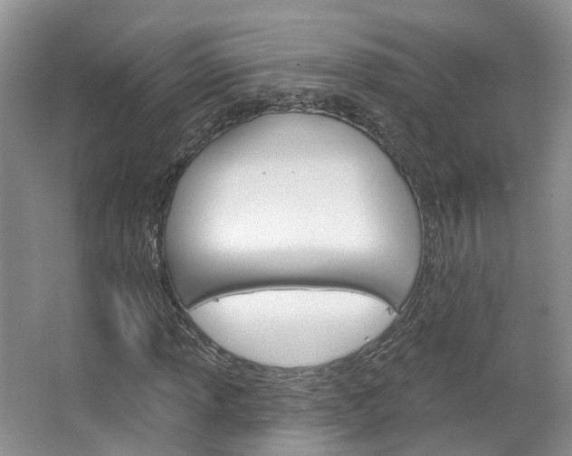 X0000067511013200604071043