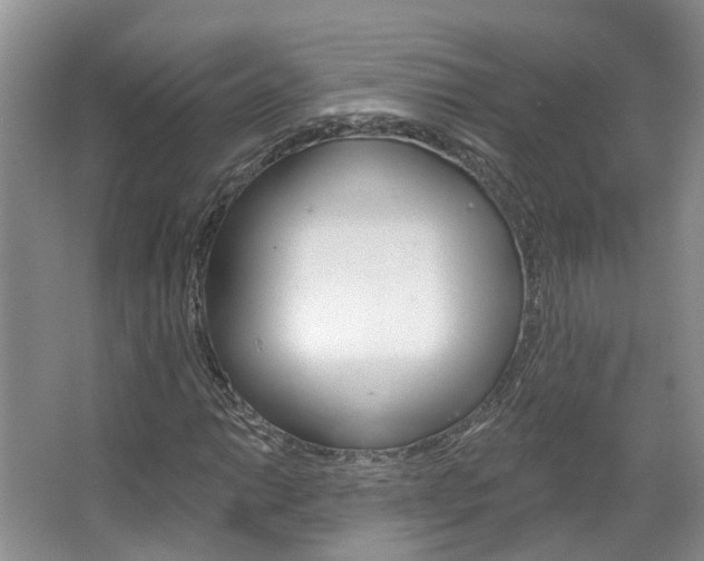 X0000067511014200604071043