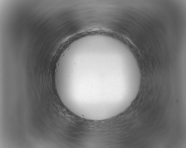 X0000067511016200604071043