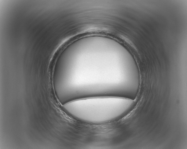 X0000067511021200604071043