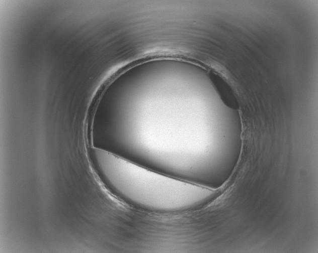 X0000067511030200604071043
