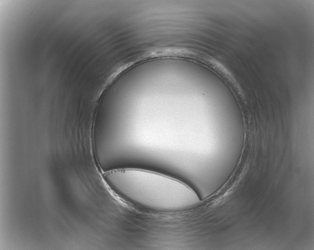 X0000067511041200604071044
