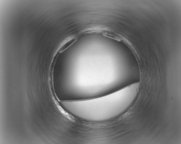 X0000067511042200604071044